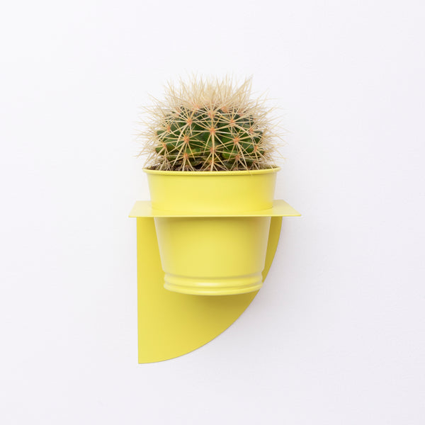 Arc Planter | Lemon